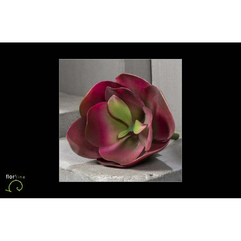 Fleur de kalanchoe artificielle - décoration d'intérieur - H.26 cm bordeau - R4
