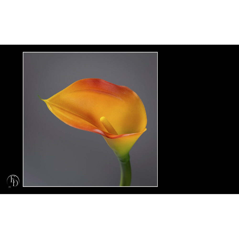 Fleur artificielle Arum - décoration d'intérieur - H. 65cm orange - P2