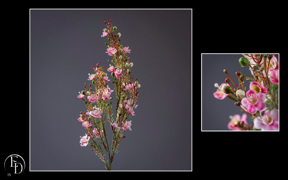 Fleur de Wax artificielle fuchsia - H.60 cm – Délicatesse florale et charme naturel