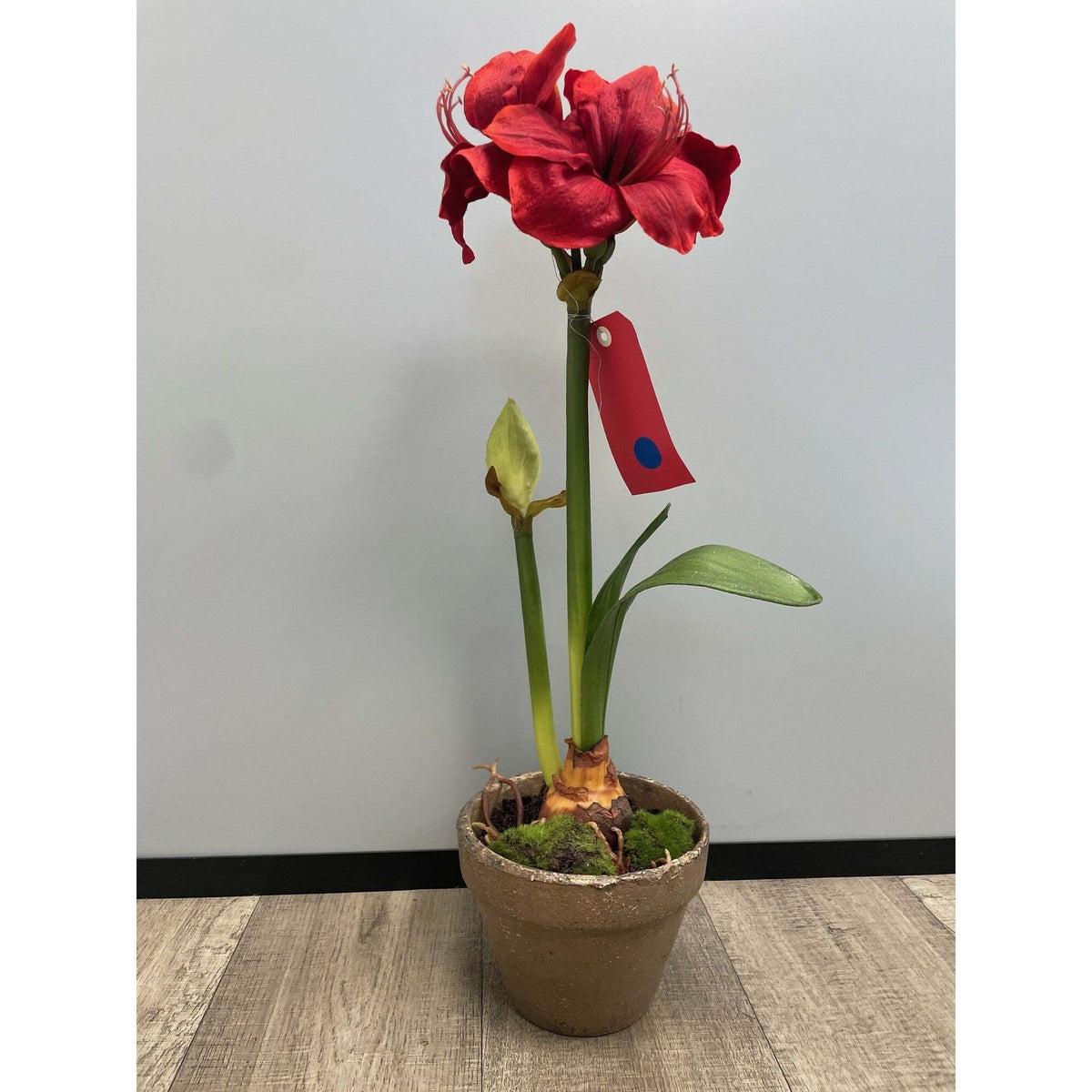 Amaryllis artificielle en pot - décoration intérieure - H.69cm - rouge