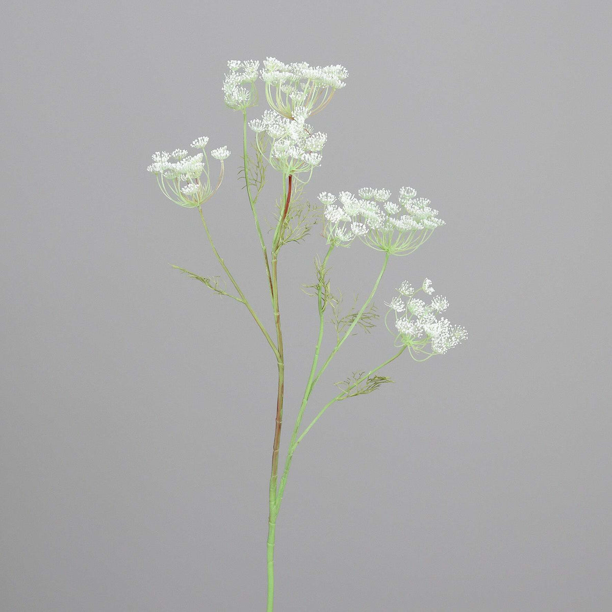 Fleur artificielle d'Aneth 7 têtes géante fleurie - 107 cm - couleur crème