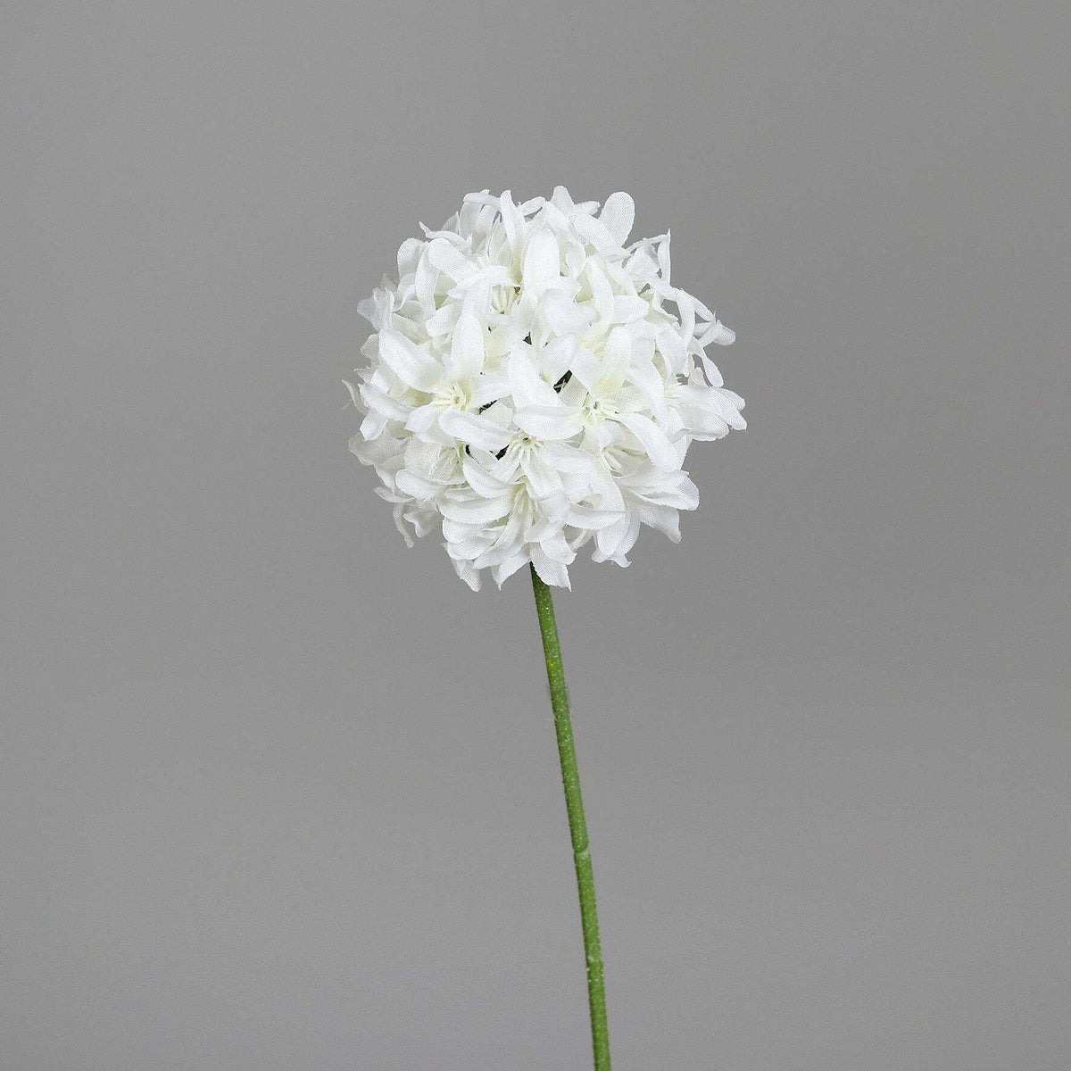 Fleur artificielle Allium tige d'ail d'ornement - composition bouquet - H.68cm blanc P2