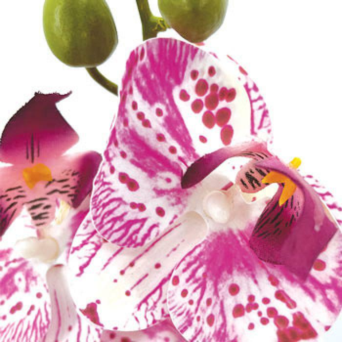 Fleur artificielle Orchidée Phalaenopsis 7 fleurs Moucheté - Naturel Touch - H.93cm Rose R3