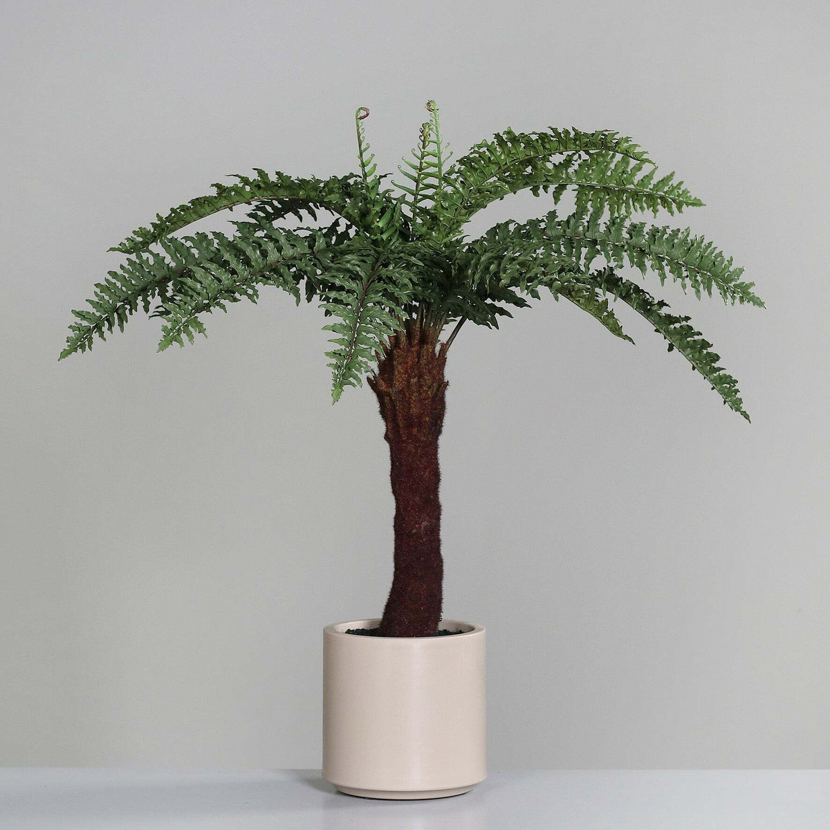 Fougère artificielle en pot décoratif couleur cappuccino - plante intérieur - H.101cm vert - S4