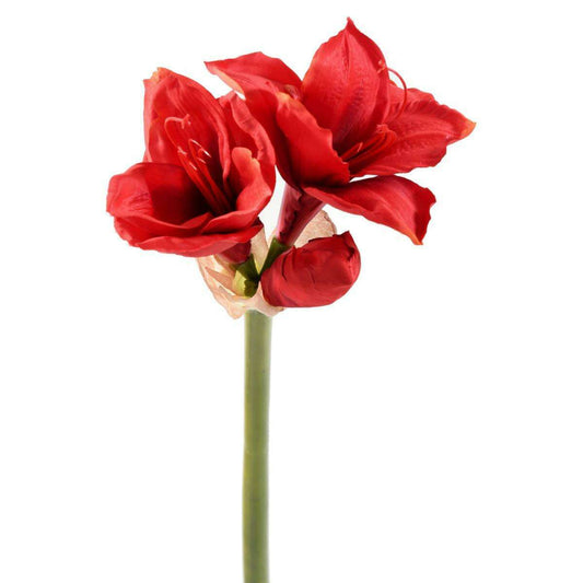 Amaryllis artificielle à la tige 2 fleurs - composition florale - H.75cm rouge - A3