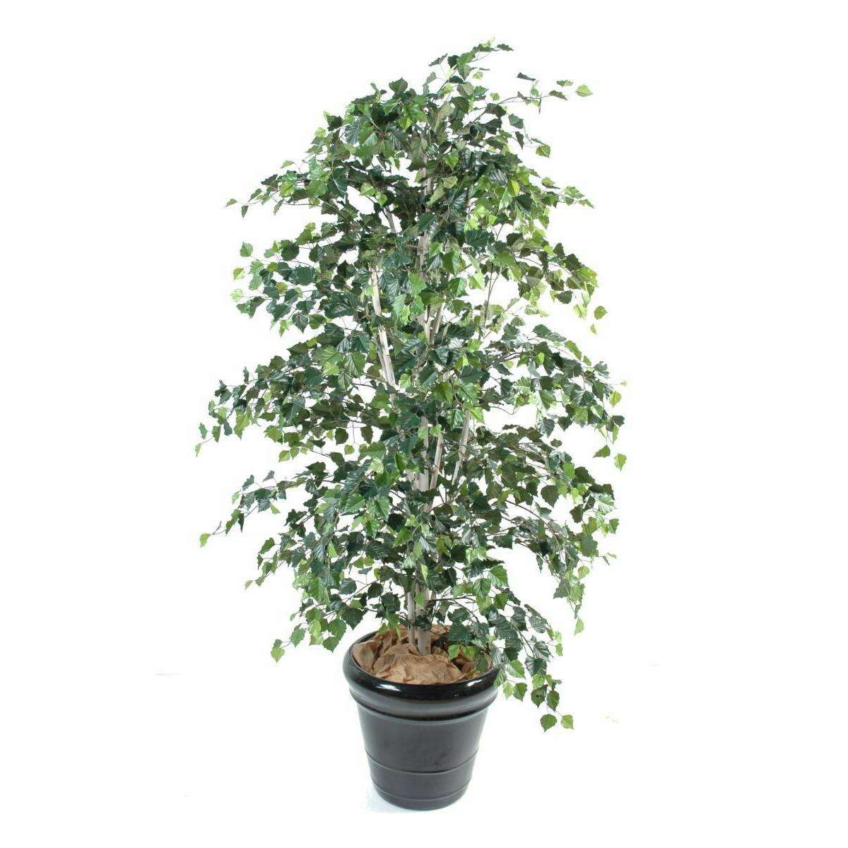 Arbre artificiel forestier Bouleau - plante pour intérieur - H.210cm