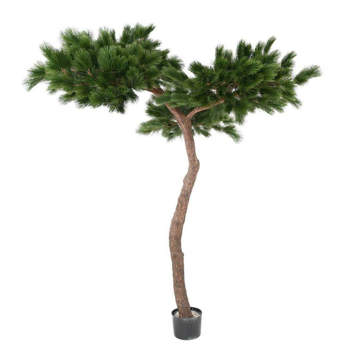 Arbre artificiel forestier Pin Umbrella - arbre méditerranéen intérieur - H.240cm
