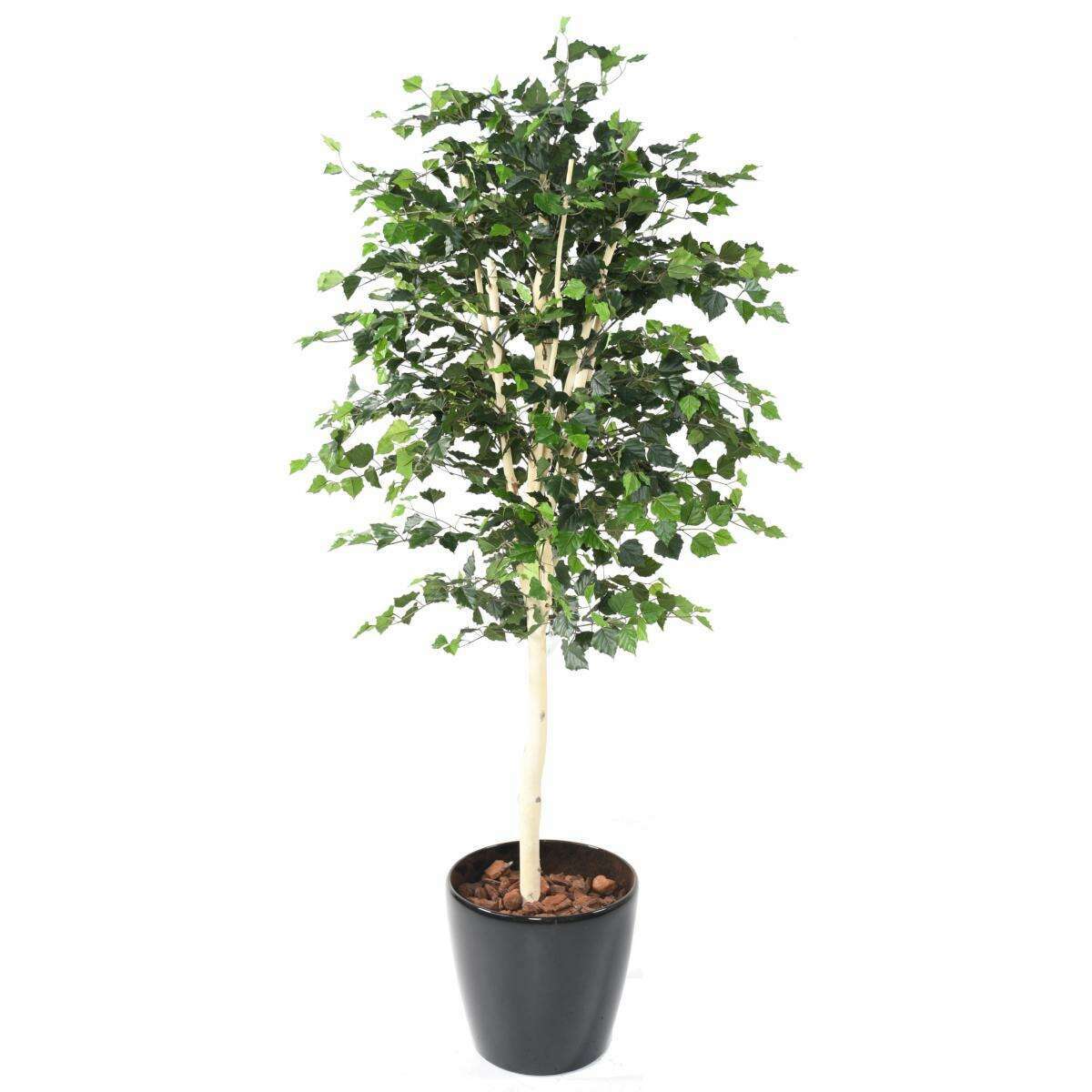 Arbre forestier artificiel Bouleau TS - décoration d'intérieur - H.210cm