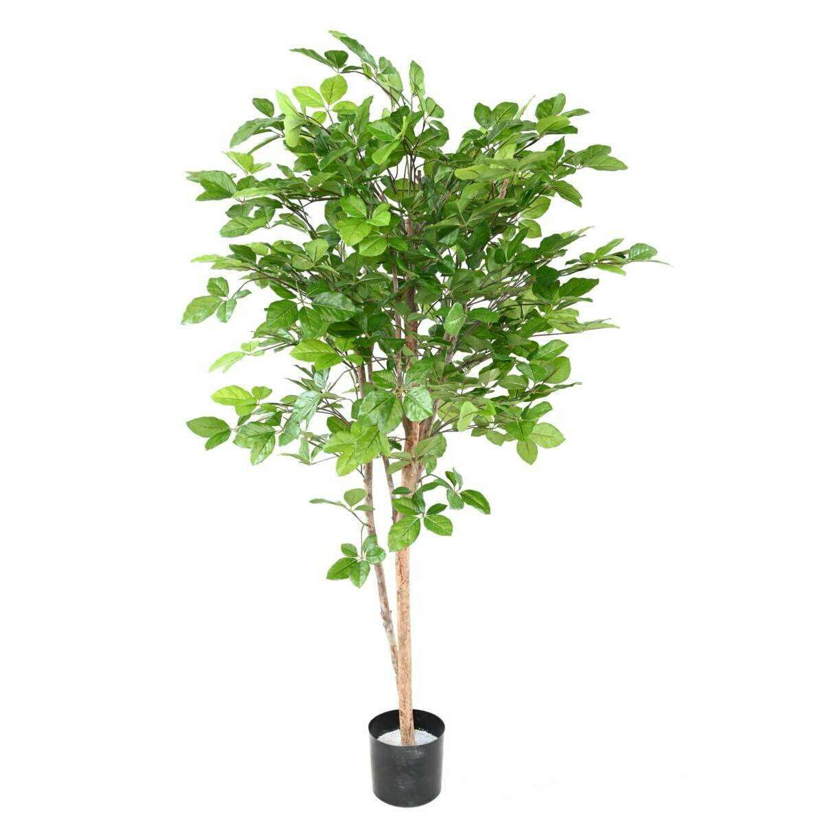 Arbre forestier artificiel Hêtre Grandifolia - décoration d'intérieur - H.160cm