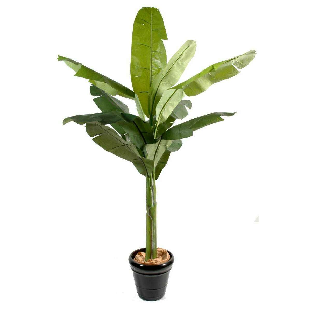 Arbre fruitier artificiel bananier - plante intérieur - H.180cm