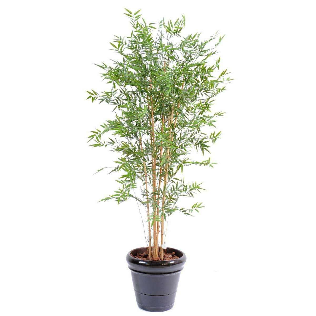 Bambou artificiel Japanese UV résistant - intérieur extérieur - H.180cm vert