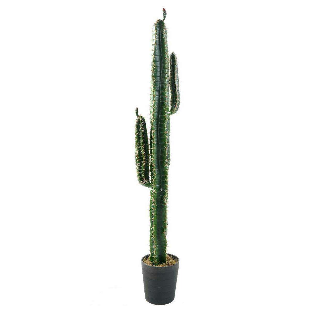 Cactus artificiel Cereus - Plante artificielle pour intérieur - H.160cm vert SHOW