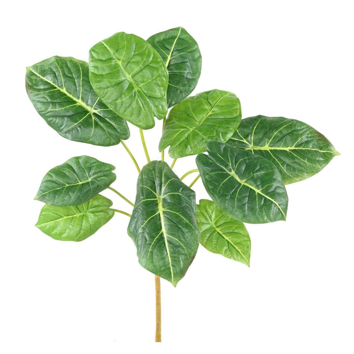 Feuillage artificiel Alocasia 10 feuilles - plante verte d'intérieur - H.50cm A4