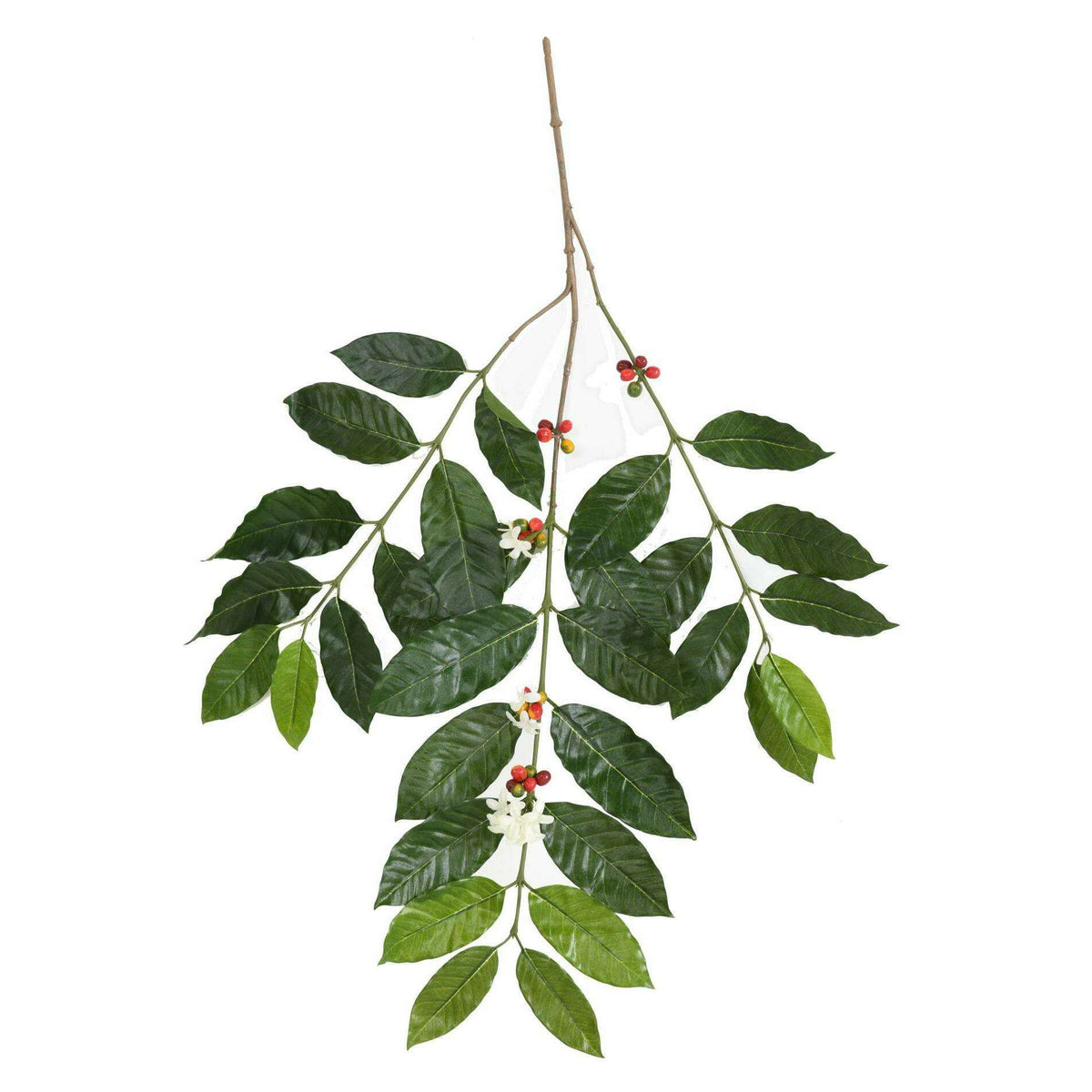 Feuillage artificiel branche de Caféier - décoration d'intérieur - H.80cm vert D4