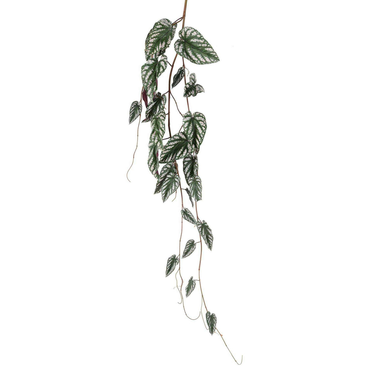 Feuillage artificiel chute de Bégonia Muculata - plante retombante d'intérieur - H.230cm - A5