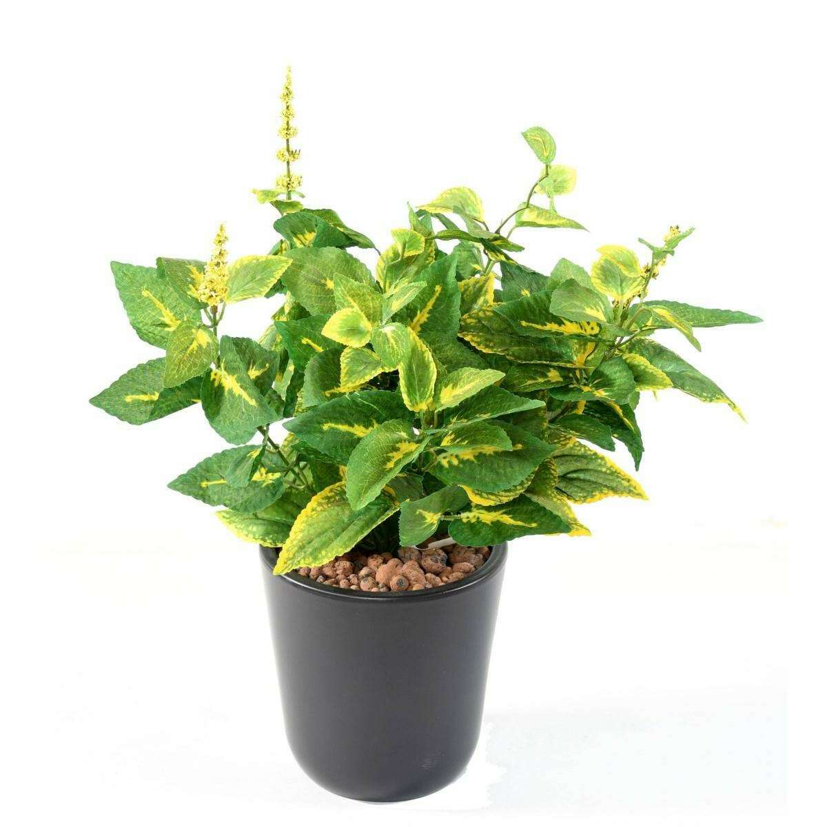 Feuillage artificiel Coleus en piquet - plante verte intérieur - H.40cm vert jaune-D2