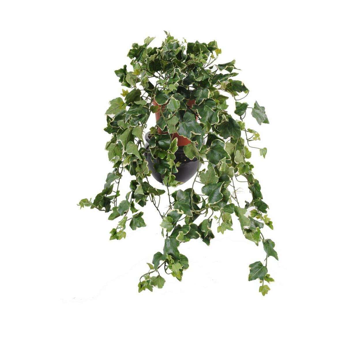 Feuillage artificiel Lierre Gala en piquet - Tergal UV extérieur - H. 75cm vert blanc - J2