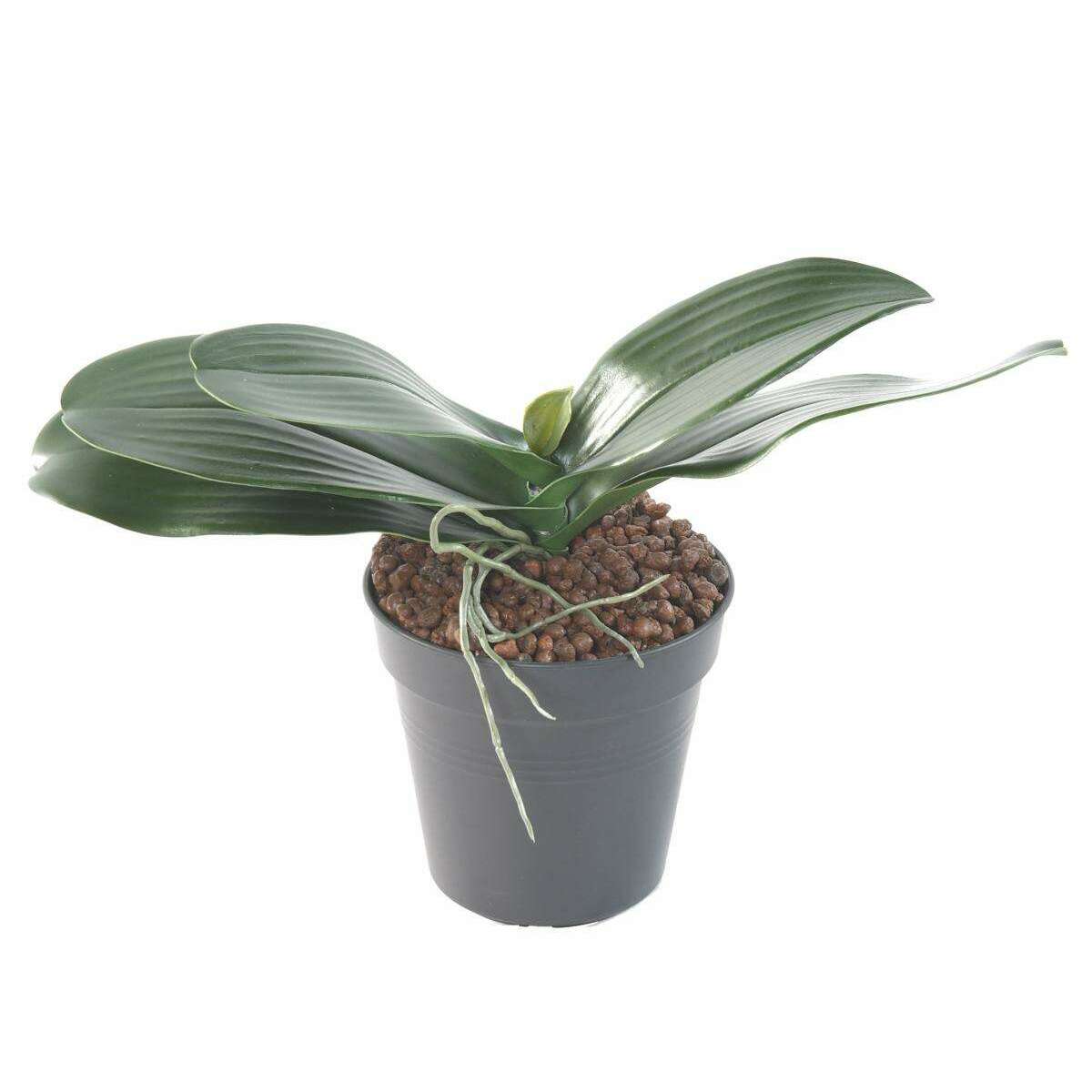 Feuillage artificiel piquet Feuilles d'orchidée et racine H.17cm vert - K3