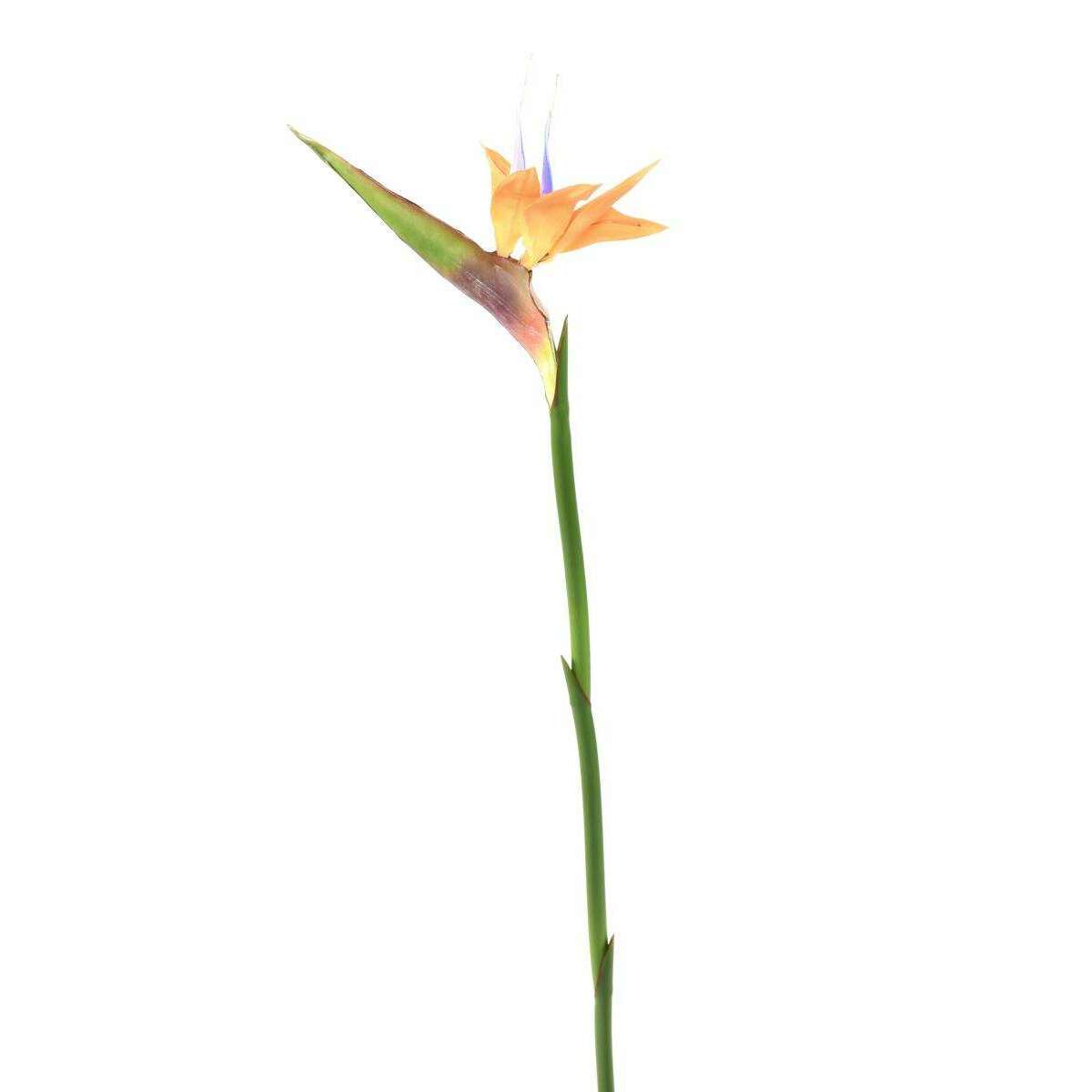 Fleur à la tige Strelitzia artificiel - décoration intérieure - H.80cm orange - M1