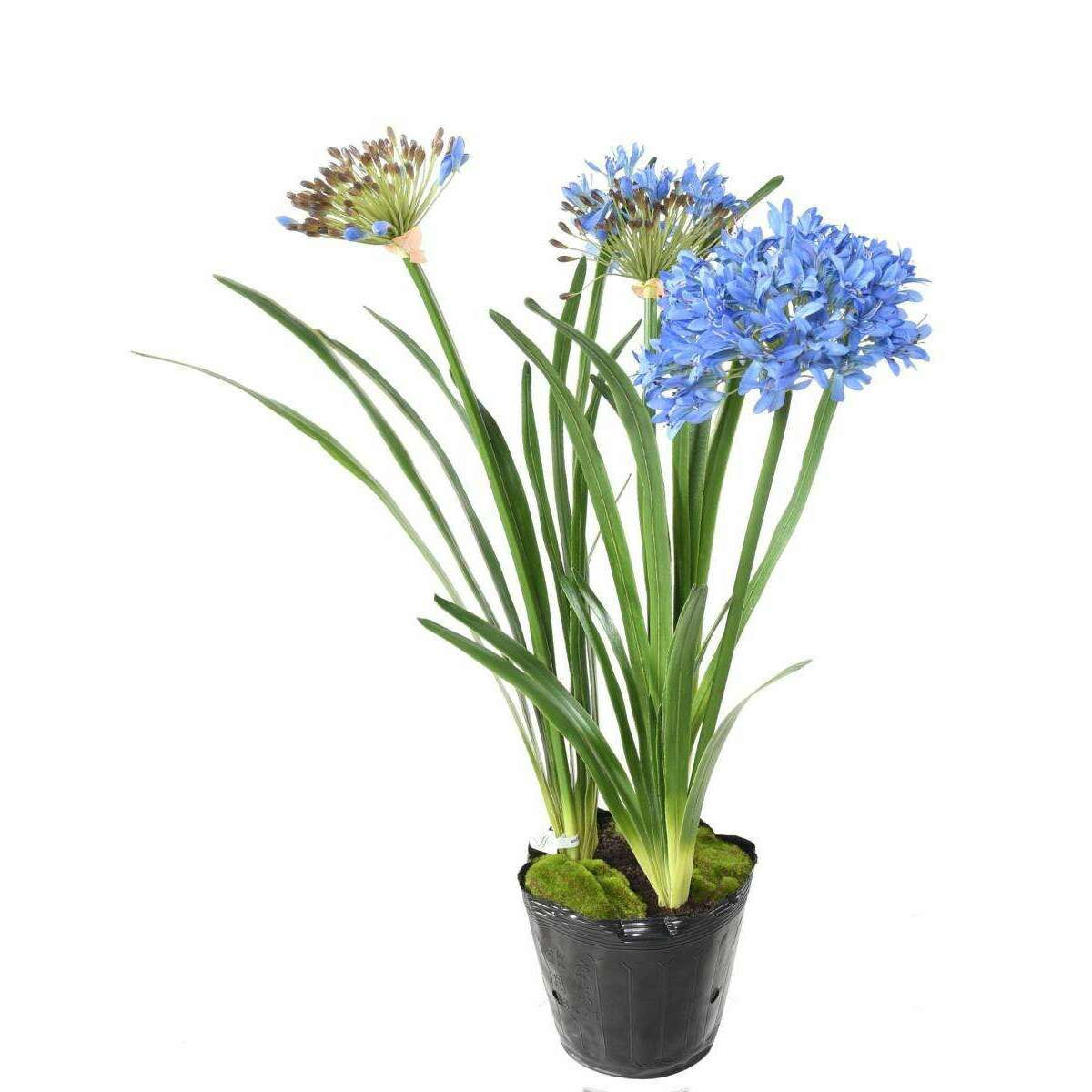 Fleur artificielle Agapanthe en motte - plante d'intérieur - H.90cm bleu -