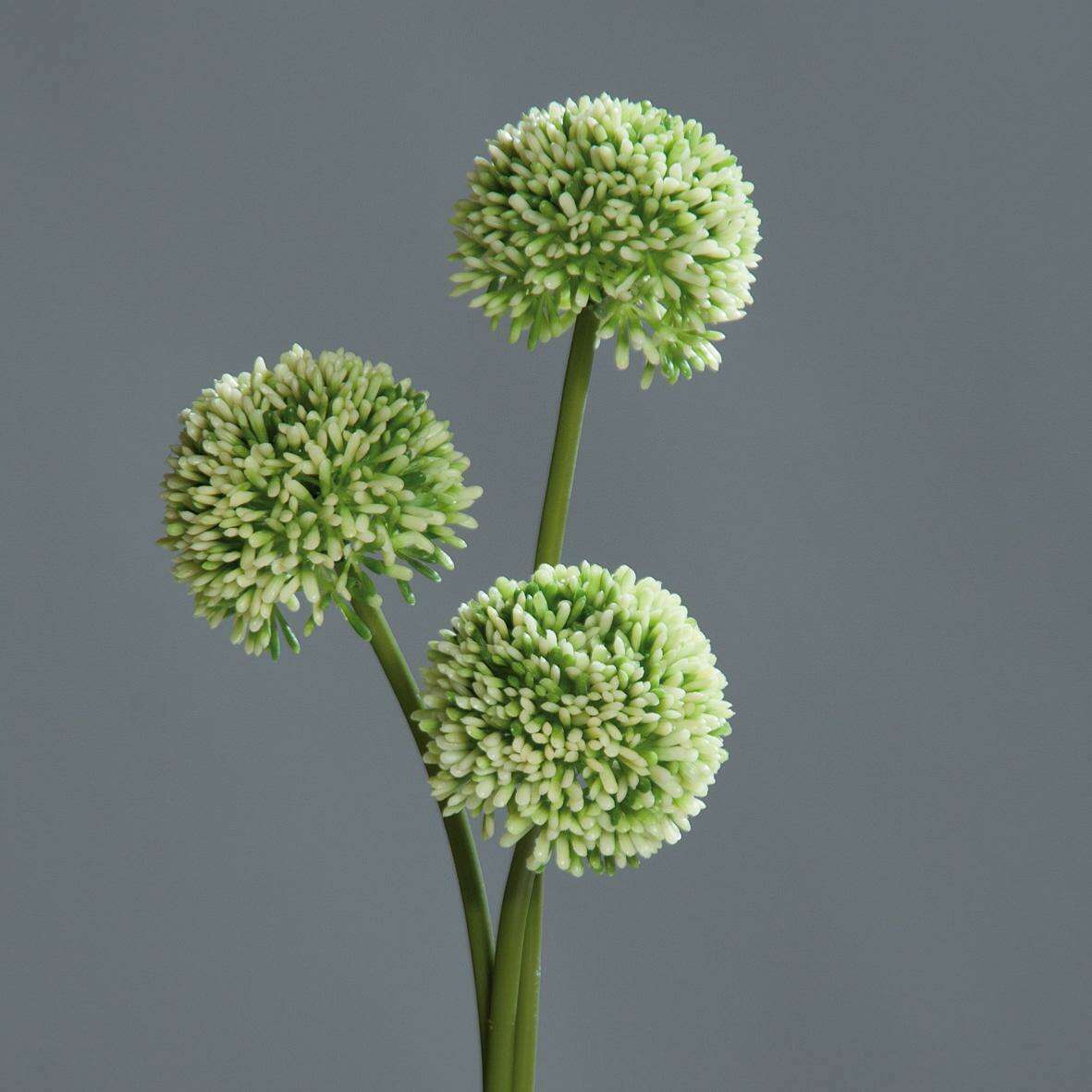 Fleur artificielle Allium ail d'ornement set de 3 - composition bouquet - H.46cm vert Z3