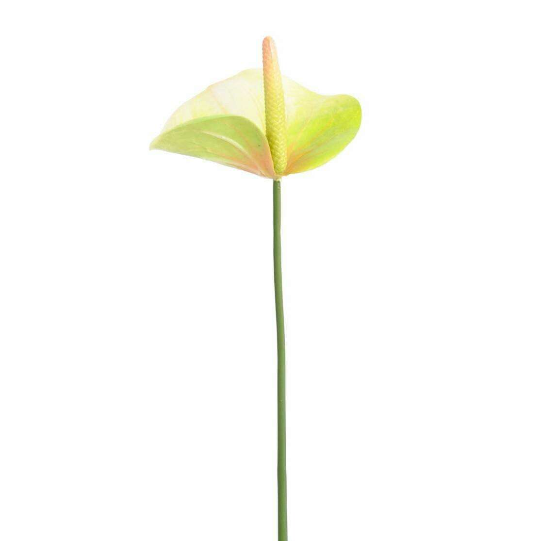 Fleur artificielle Anthurium - décoration florale - H.60cm vert - A4