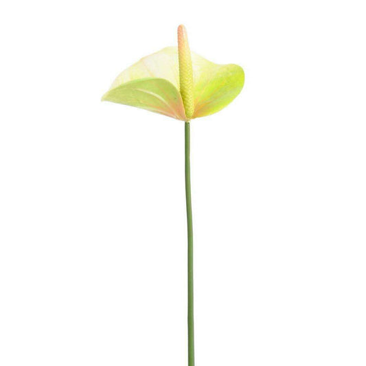 Fleur artificielle Anthurium - décoration florale - H.60cm vert - A4