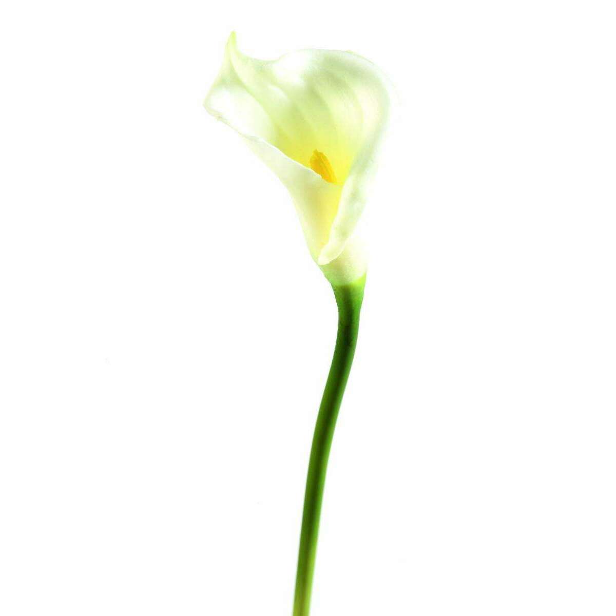 Fleur artificielle Arome haute qualité - composition bouquet - H.65cm blanc A3
