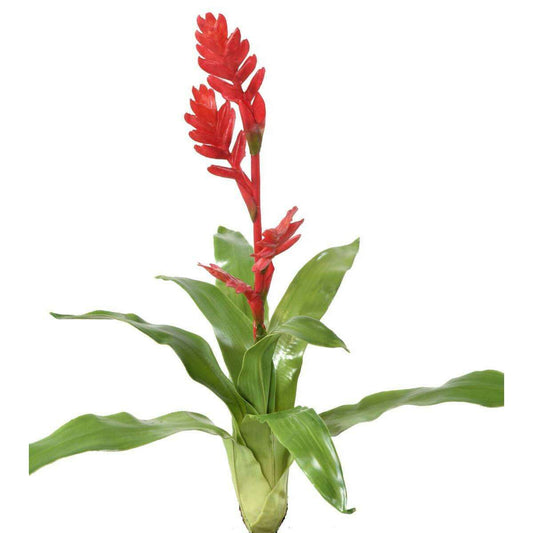 Fleur artificielle Bromélia 4 fleurs - décoration d'intérieur - H.55cm rouge B2