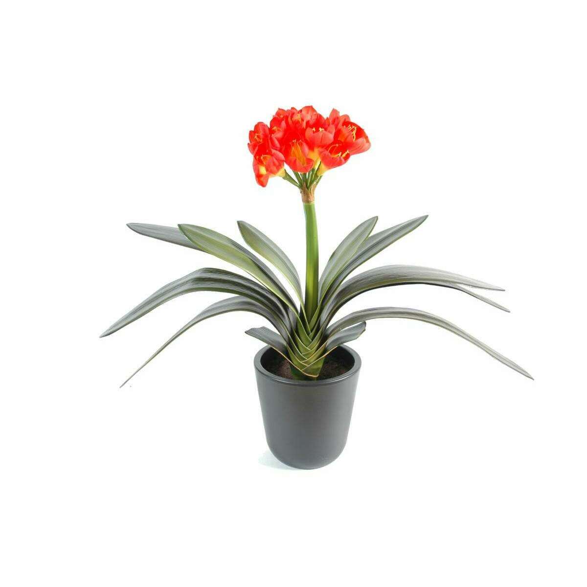 Fleur artificielle Clivia 16 fleurs - plante en piquet - H.45cm orange jaune