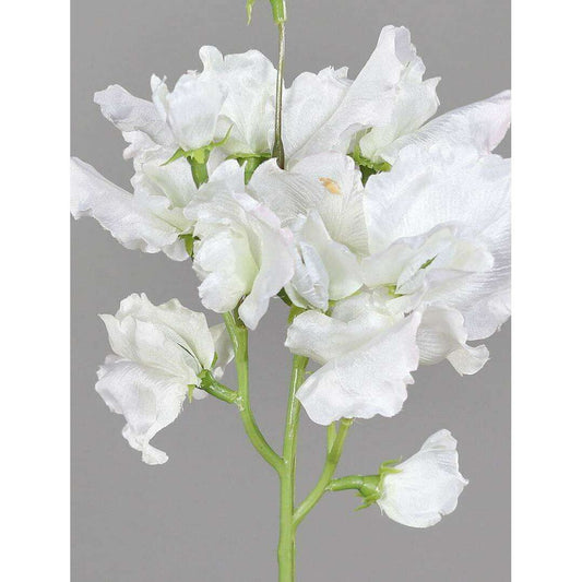 Fleur artificielle Pois de senteur - composition florale - H.46cm crème - P3