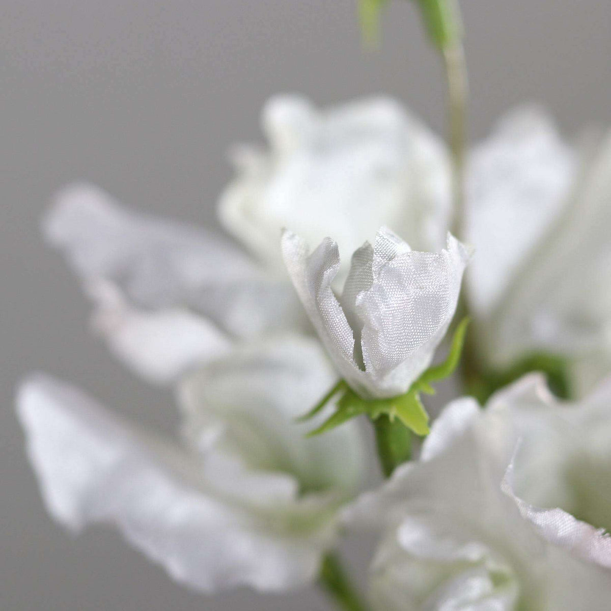Fleur artificielle Pois de senteur - composition florale - H.46cm crème - P3
