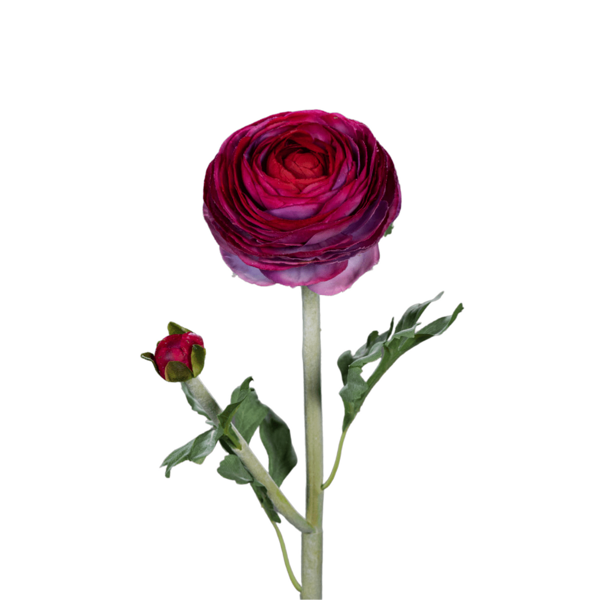 Fleur artificielle tige de Renoncule - création de bouquet - H.57cm pourpre R1