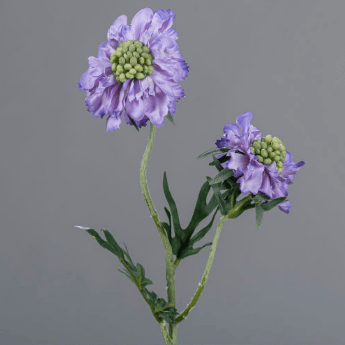 Fleur artificielle tige de Scabiosa - composition florale - H.55cm lavande R2