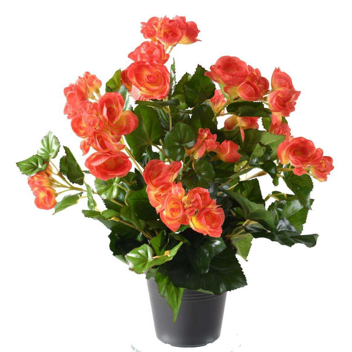 Fleurs artificielles Bégonia - plante en piquet - H.30 cm corail B3