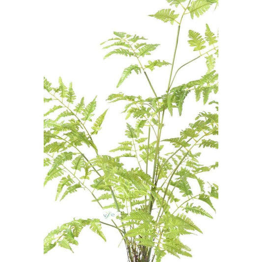 Fougère artificielle socle mousse - plante d'intérieur - H.95cm vert - E5