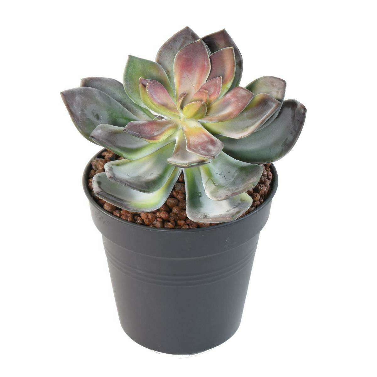 Mini plante artificielle Succulente VR - cactus artificiel intérieur - H.16cm M1