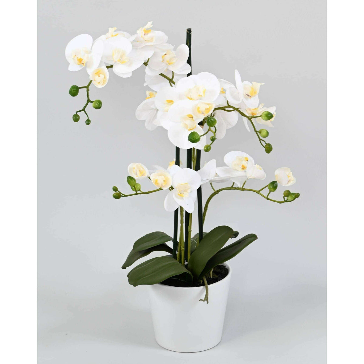 Orchidée Phalaenopsis artificielle en pot blanc - plante d'intérieur - H.70cm - A5