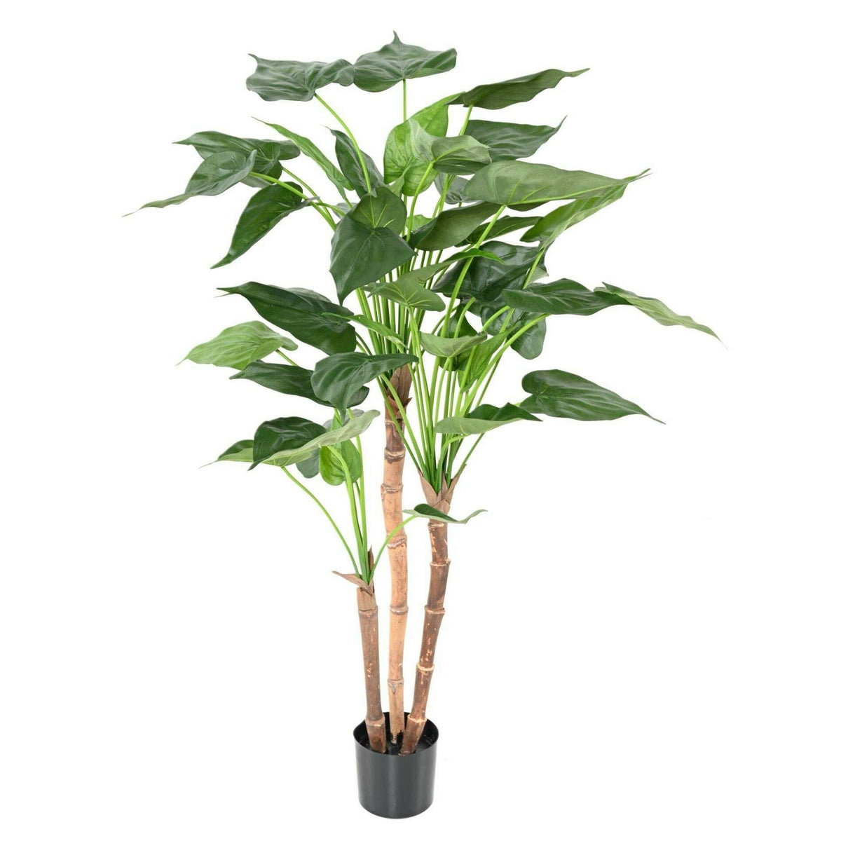 Plante artificielle Alocasia Cucullata - plante tropicale d'intérieur - H.110cm A