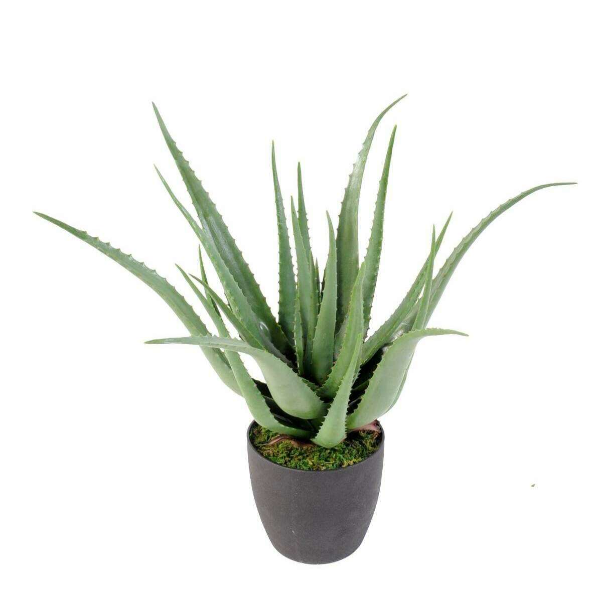 Plante artificielle Aloe vera en pot - plante pour intérieur - H.70cm vert