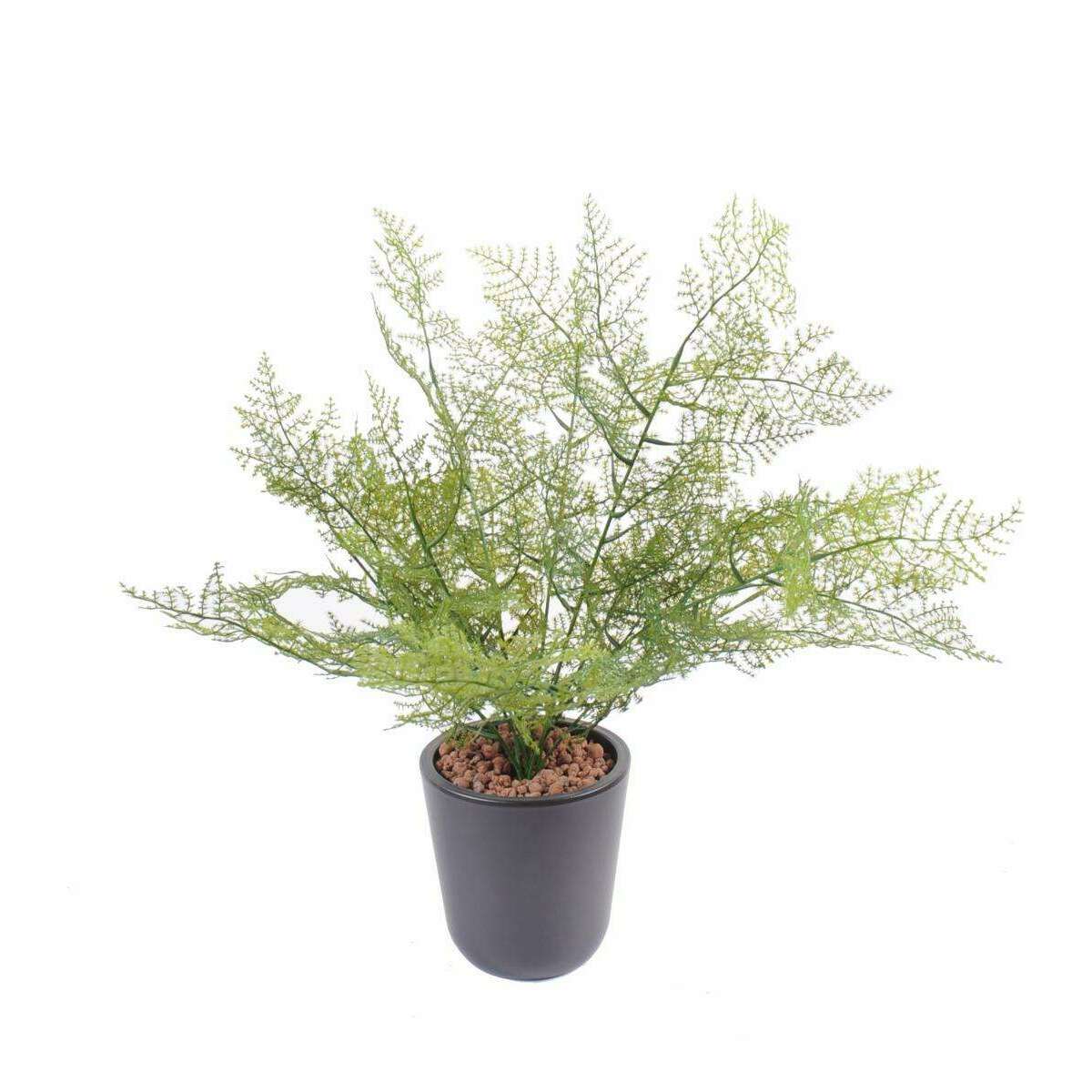 Plante artificielle Asparagus plastique - intérieur extérieur - H.50cm vert - A5