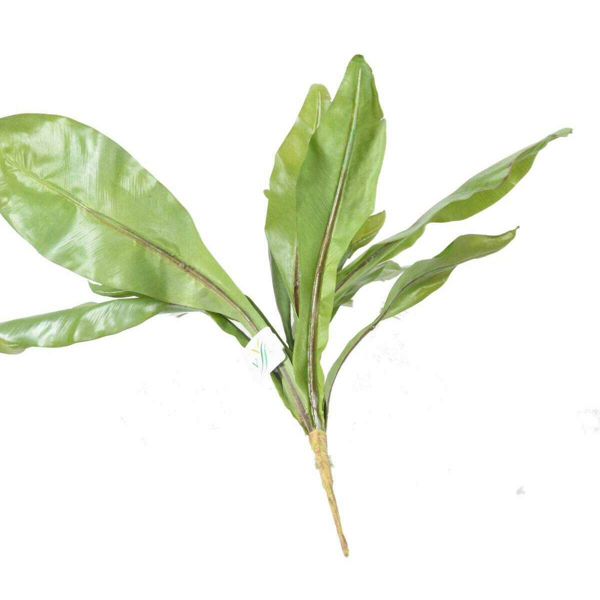 Plante artificielle Asplenium en piquet -plante d'intérieur - H.45cm vert - A2
