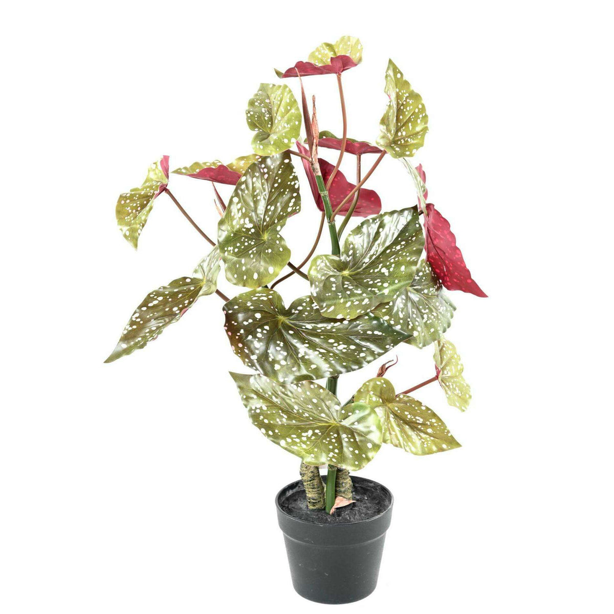 Plante artificielle Begonia maculata - décoration d'intérieur - H.70cm vert rouge