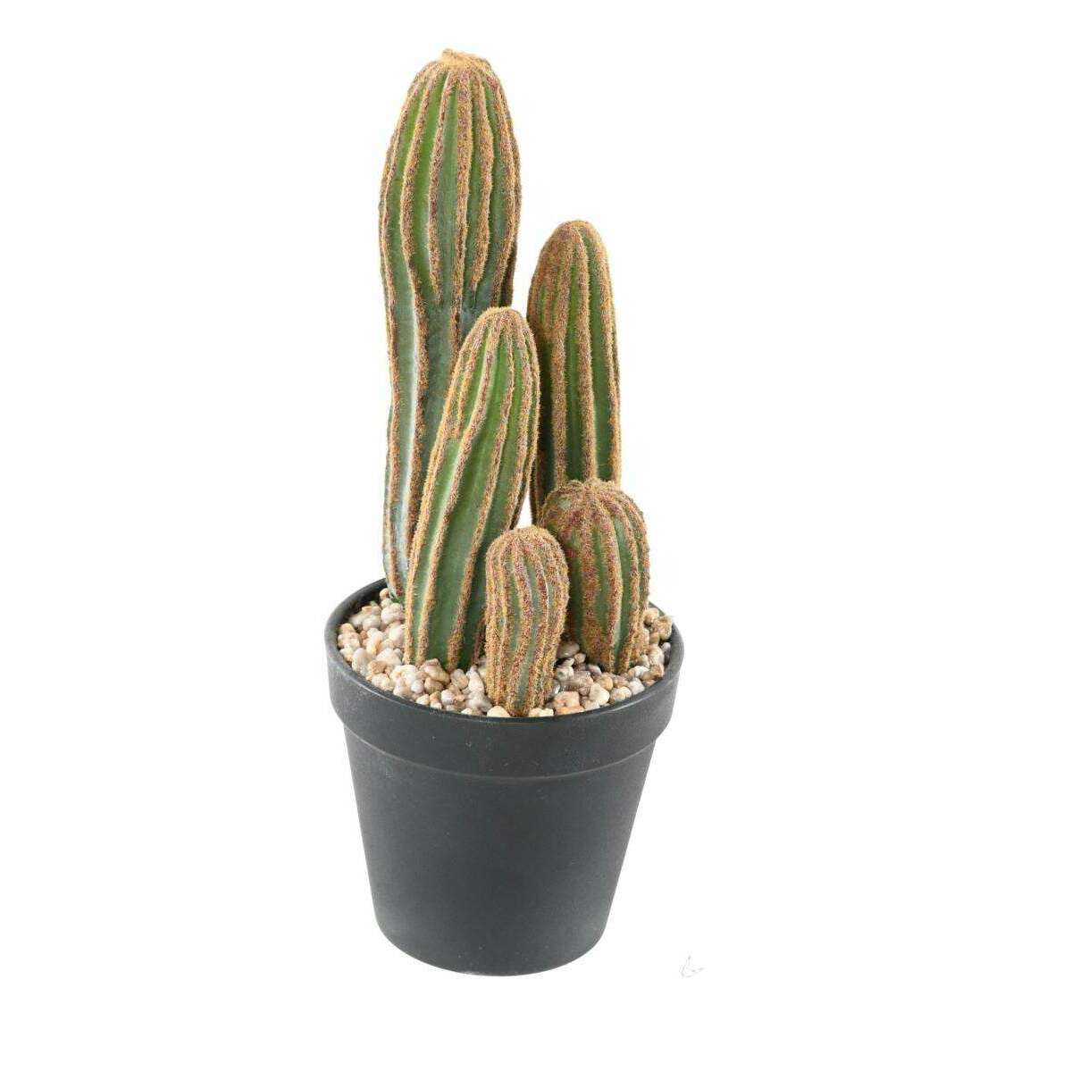 Plante artificielle Cactus Finger 5 troncs - Plante pour intérieur - H.28cm vert - D5