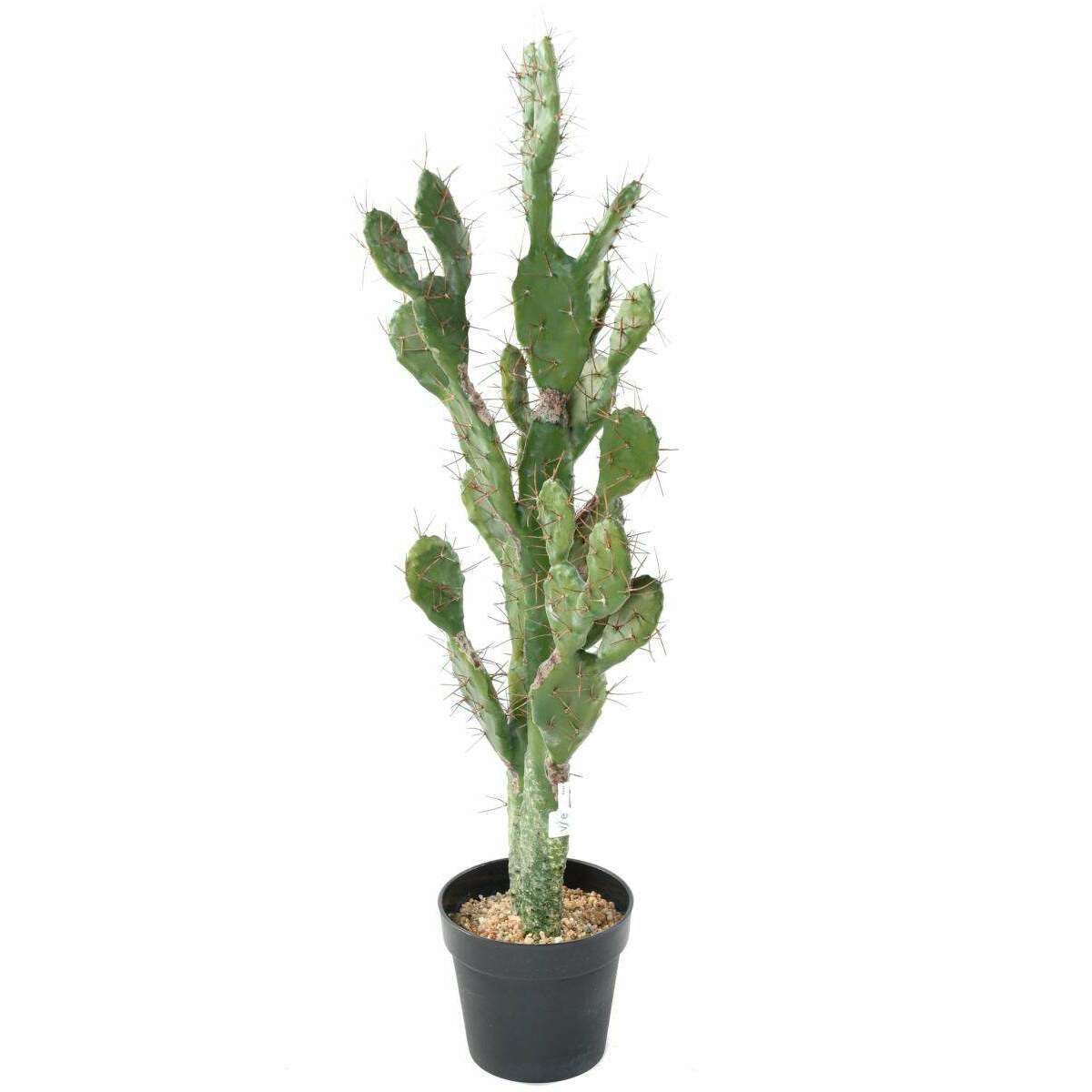 Plante artificielle Cactus Plat - Plante pour intérieur - H. 104cm vert