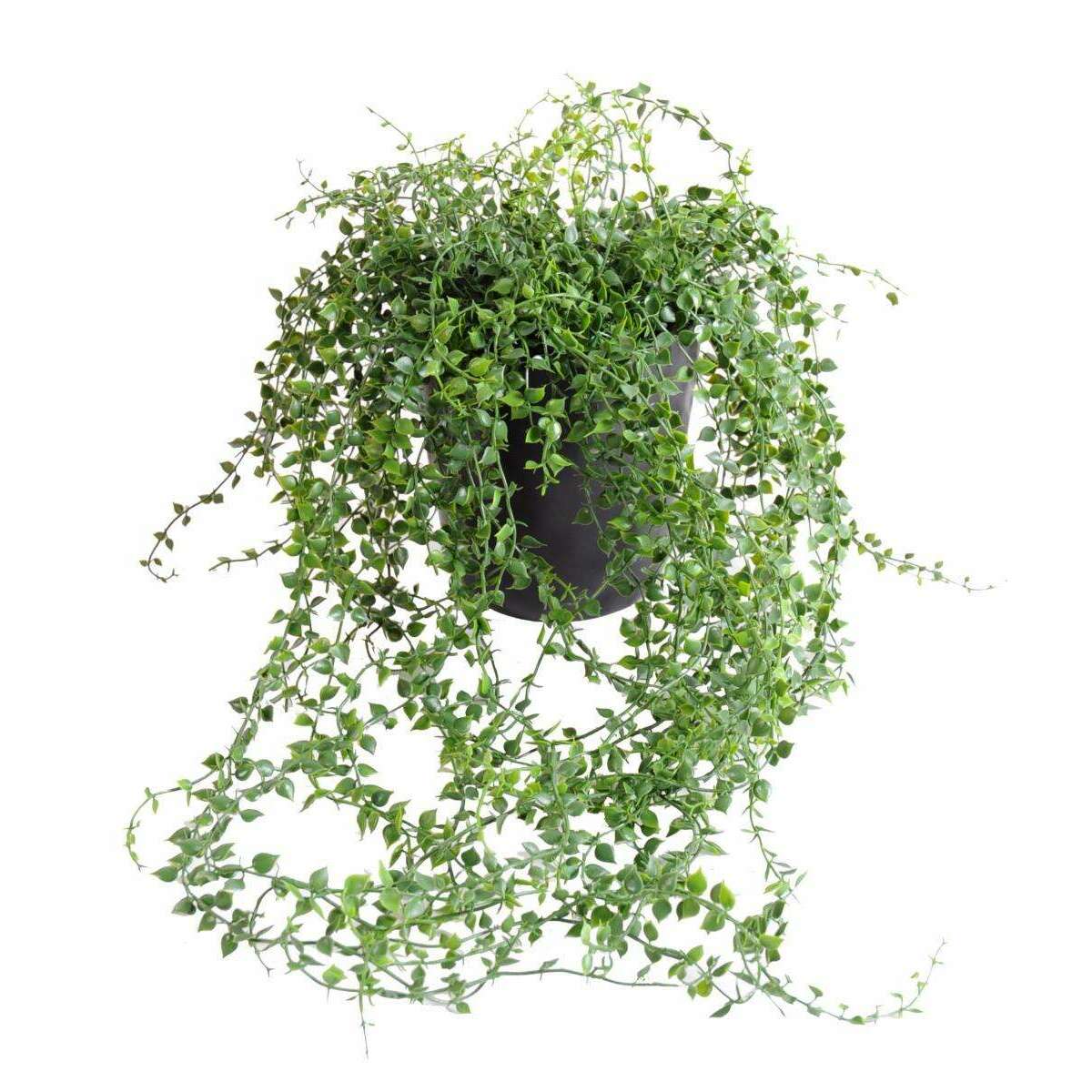 Plante artificielle Callisia en pot - intérieur extérieur - H.70cm vert - O3