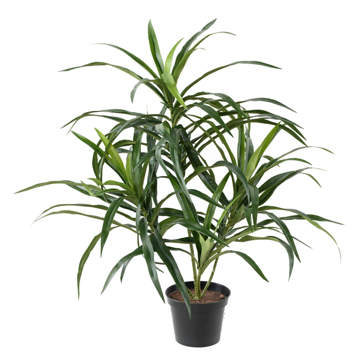 Plante artificielle Dracaena Anita - décoration d'intérieur - H.45cm vert-C5
