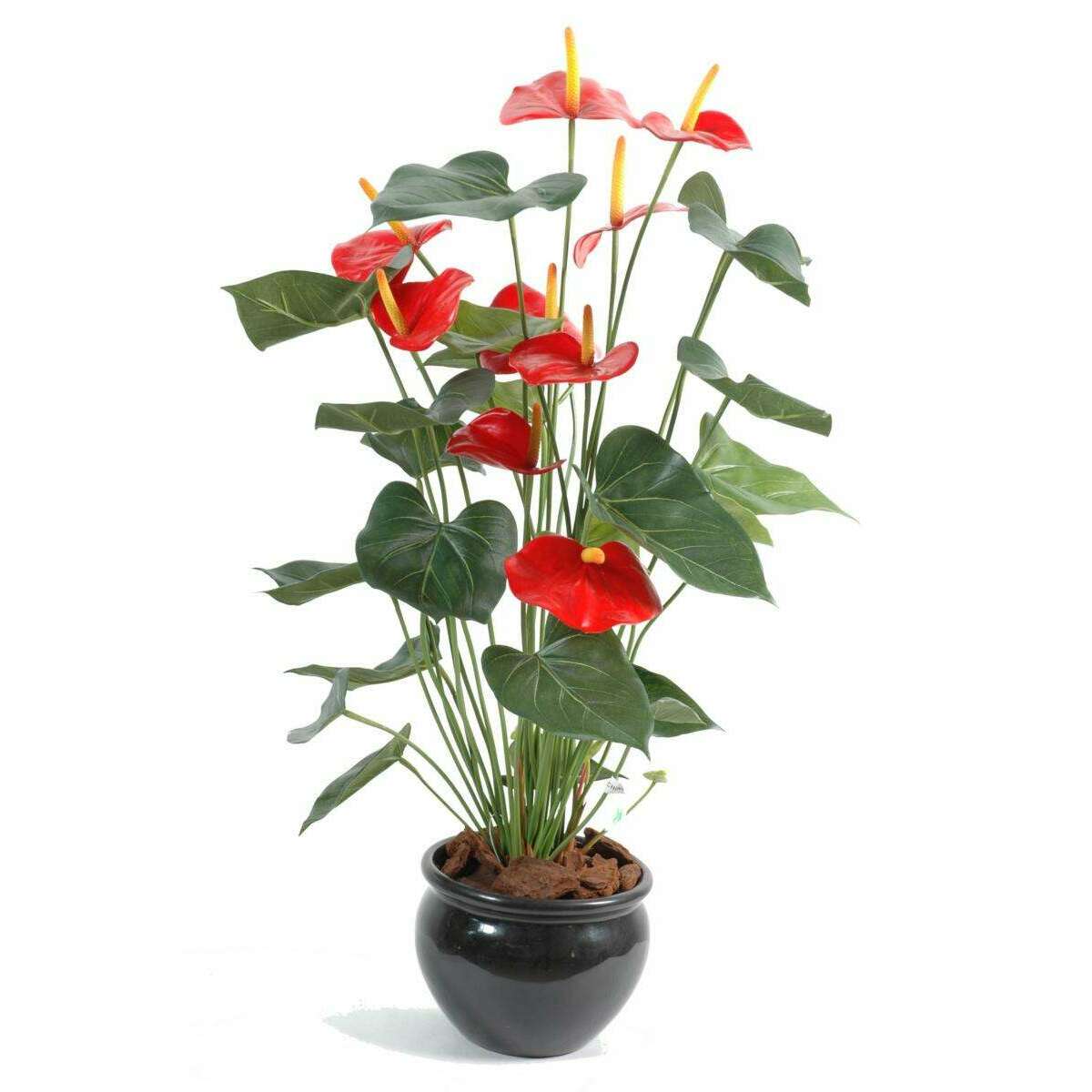 Plante artificielle fleurie Anthurium en pot - décoration d'intérieur - H.75cm rouge
