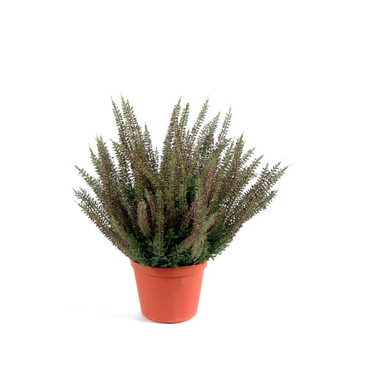 Plante artificielle Fleurie Bruyère plastique en pot - intérieur extérieur - H.35cm rose - C2