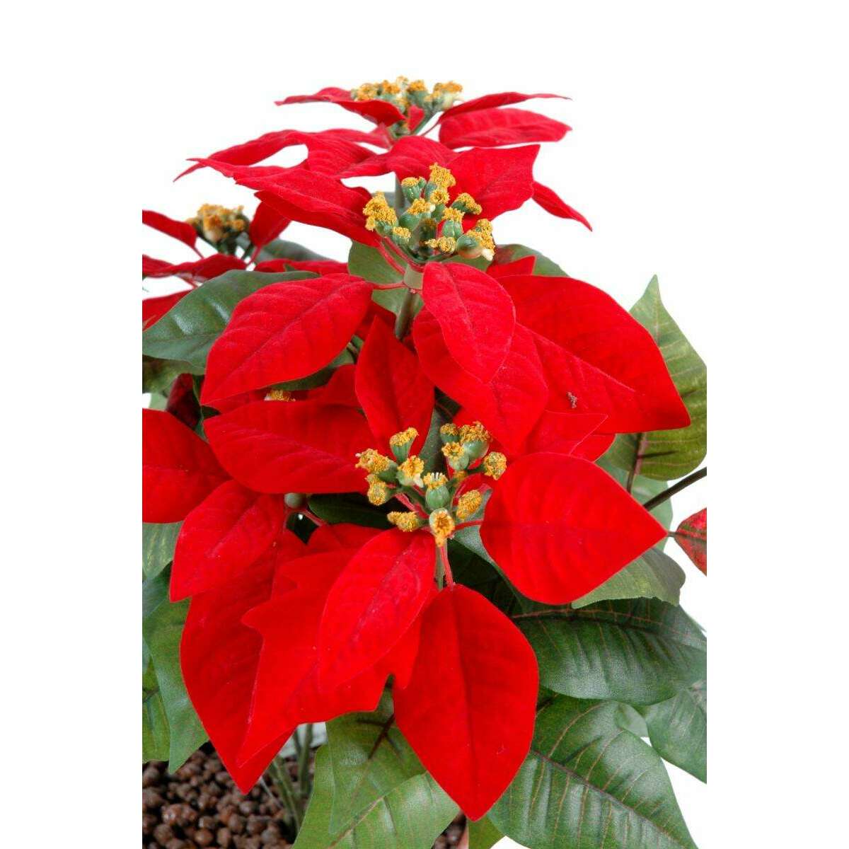 Plante artificielle fleurie Poinsettia - plante en piquet - H.40cm rouge - L4
